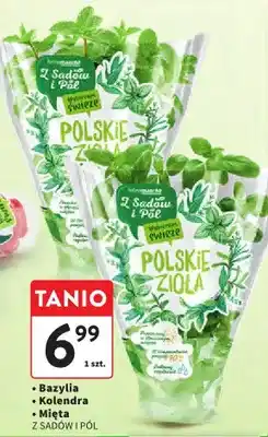 Intermarche Mięta oferta