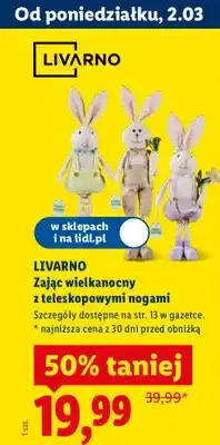Lidl Zając wielkanocny z teleskopowymi nogami Livarno oferta