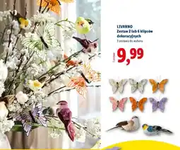 Lidl Zestaw 2 lub 6 klipsów dekoracyjnych oferta