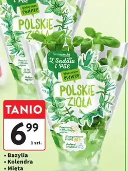 Intermarche Z Sadów i Pól Polskie Zioła oferta