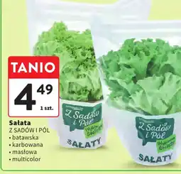 Intermarche Sałata Z Sadów i Pól oferta