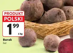 Intermarche Burak luz oferta