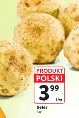 Intermarche Seler luz oferta