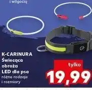 Kaufland K-CARINURA Świecąca obroża LED dla psa oferta