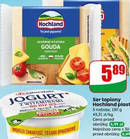 Dino Ser topiony Hochland plastry oferta