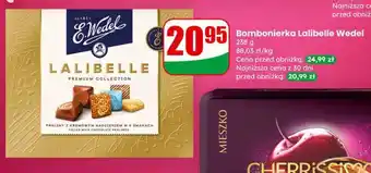 Dino Bombonierka Lalibelle Wedel oferta