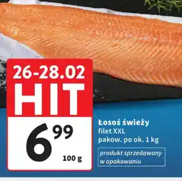 Intermarche Losoś świeży filet XXL oferta