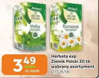 Gama Herbata exp Zielnik Polski oferta