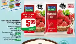 Dino Truskawki mrożone całe oferta
