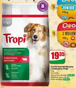 Dino Sucha karma dla psa z wołowiną oferta