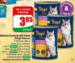 Dino Mokra karma dla kota DeLux oferta