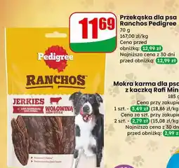 Dino Mokra karma dla psa z kaczką oferta