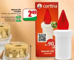 Dino Wkład LED oferta