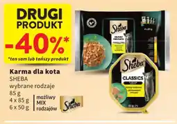 Intermarche Sheba Karma dla kota oferta