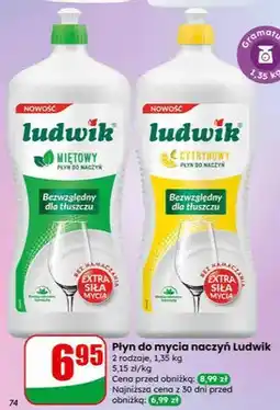 Dino Płyn do mycia naczyń oferta