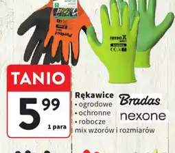 Intermarche Bradas Rękawice oferta