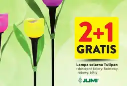 Intermarche JUMI Lampa solarna Tulipan oferta