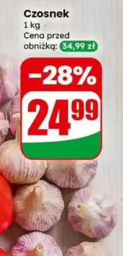 Dino Czosnek oferta