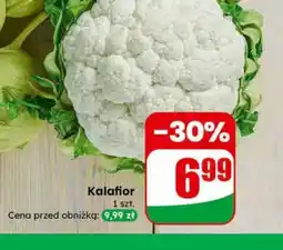 Dino Kalafior oferta