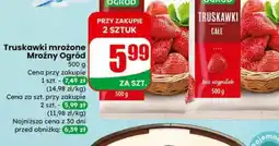Dino Mroźny Ogród Truskawki mrożone oferta