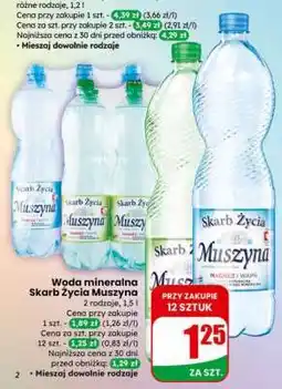 Dino Woda mineralna Skarb Życia Muszyna oferta