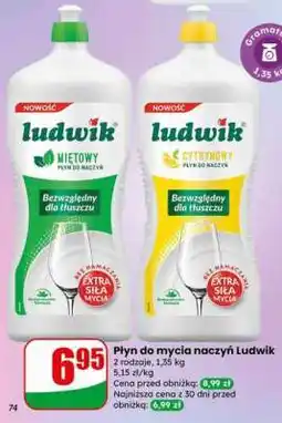 Dino Płyn do mycia naczyń Ludwik oferta