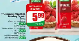 Dino Mroźny Ogród Truskawki mrożone oferta