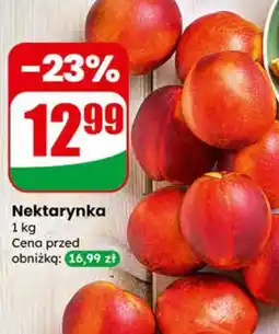 Dino Nektarynka oferta