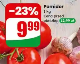 Dino Pomidor oferta