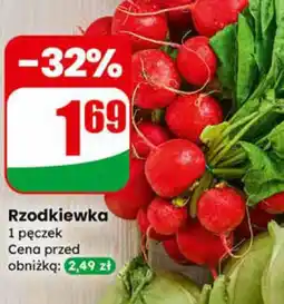 Dino Rzodkiewka oferta