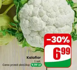 Dino Kalafior oferta