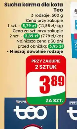 Dino Sucha karma dla kota Teo oferta