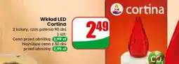 Dino Wkład LED Cortina oferta