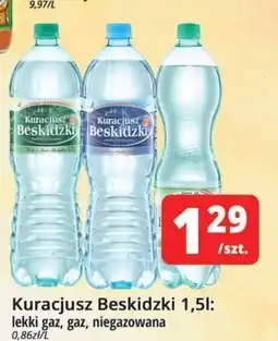 Szyneczka Kuracjusz Beskidzki oferta