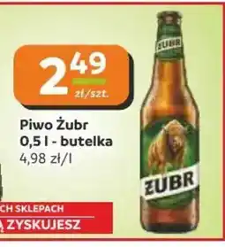 Gama Piwo Zubr oferta