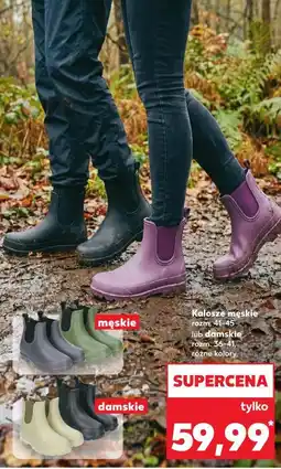 Kaufland Kalosze męskie lub damskie oferta