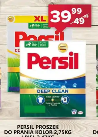 Persil proszek do prania