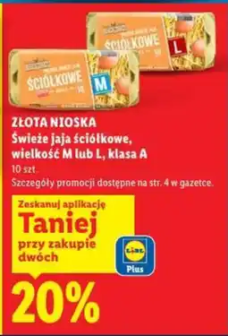 Lidl Złota Nioska jaja ściółkowe oferta
