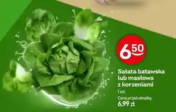 Żabka Sałata batawska lub masłowa z korzeniami oferta