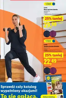 Lidl Spodnie dresowe damskie oferta