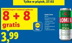 Lidl Lomża Jasne oferta