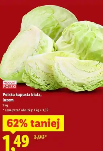 Polska kapusta biała