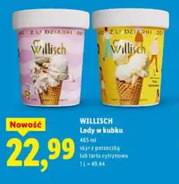 Lidl Willisch Lody w kubku oferta