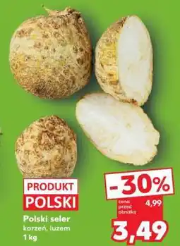 Kaufland Polski seler oferta