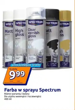 Action Farba w sprayu Spectrum oferta