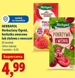 Lidl HERBAPOL Herbaciany Ogród, herbatka owocowa lub ziołowa z owocami oferta