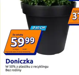 Action Doniczka oferta