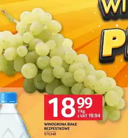 Selgros Winogrona białe bezpestkowe oferta