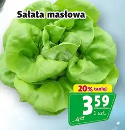 Prim Market Sałata masłowa oferta