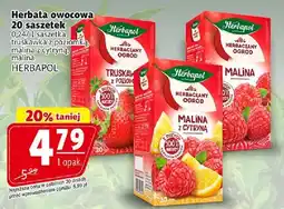 Prim Market Herbata owocowa oferta